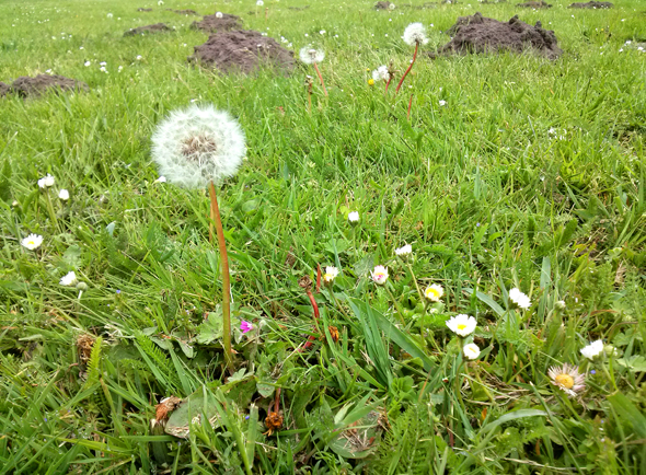 Ferien, Ferien, nix zu tun!