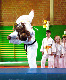 Judo-Jiu-Jitsu-Vereinigung Hannover von 1928 e.V.
