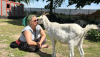 Ehrenamtliches Engagement: Tierschutzhof Hannover Land – Alter Mühlenhof